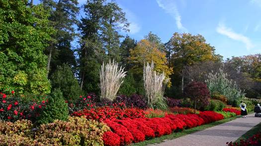 Longwood Gardens flowers pan to path