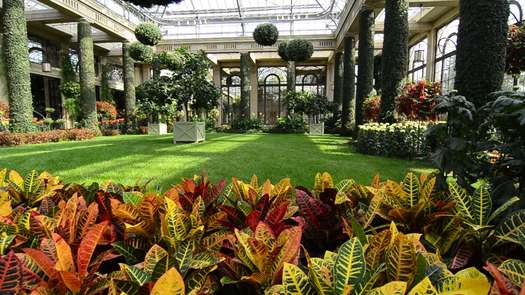 Longwood Gardens conservatory interior