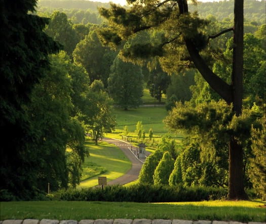 Morris Arboretum