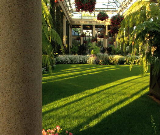 Longwood Gardens conservatory interior