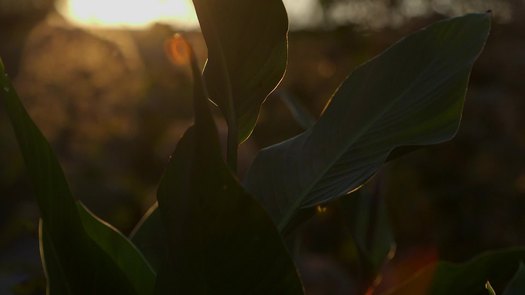 Gorgas Park, Manayunk dusk