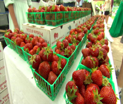 Clark Park Farmers Market