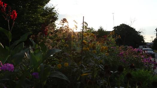 Gorgas Park, Manayunk dusk