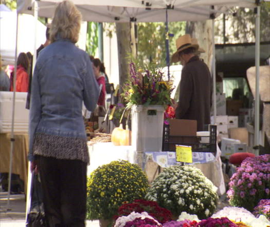 Rittenhouse Square Farmers’ Market -  Flowers tilt up to shoppers