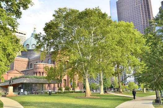 Cathedral Basilica of Saints Peter and Paul