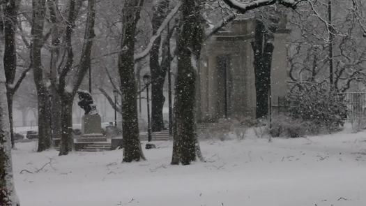 Rodin Museum