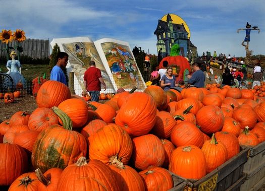 Pumpkinland at Linvilla Orchards