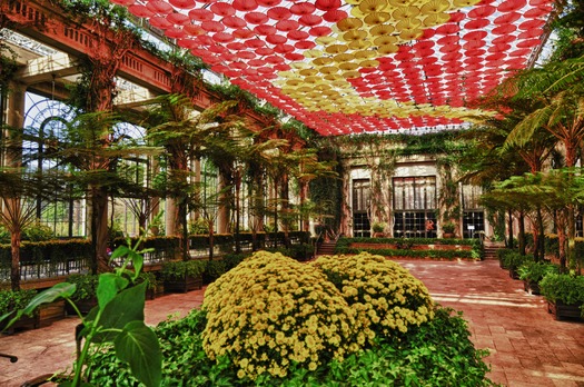 Longwood Gardens Chrysanthemum Festival
