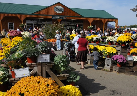 Linvilla Orchards