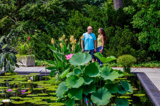 Longwood Gardens