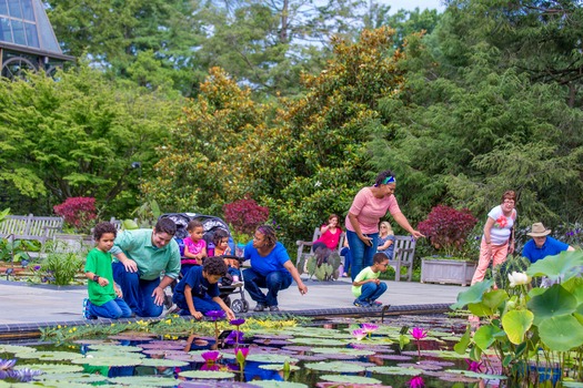 Longwood Gardens