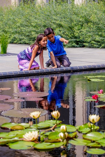Longwood Gardens