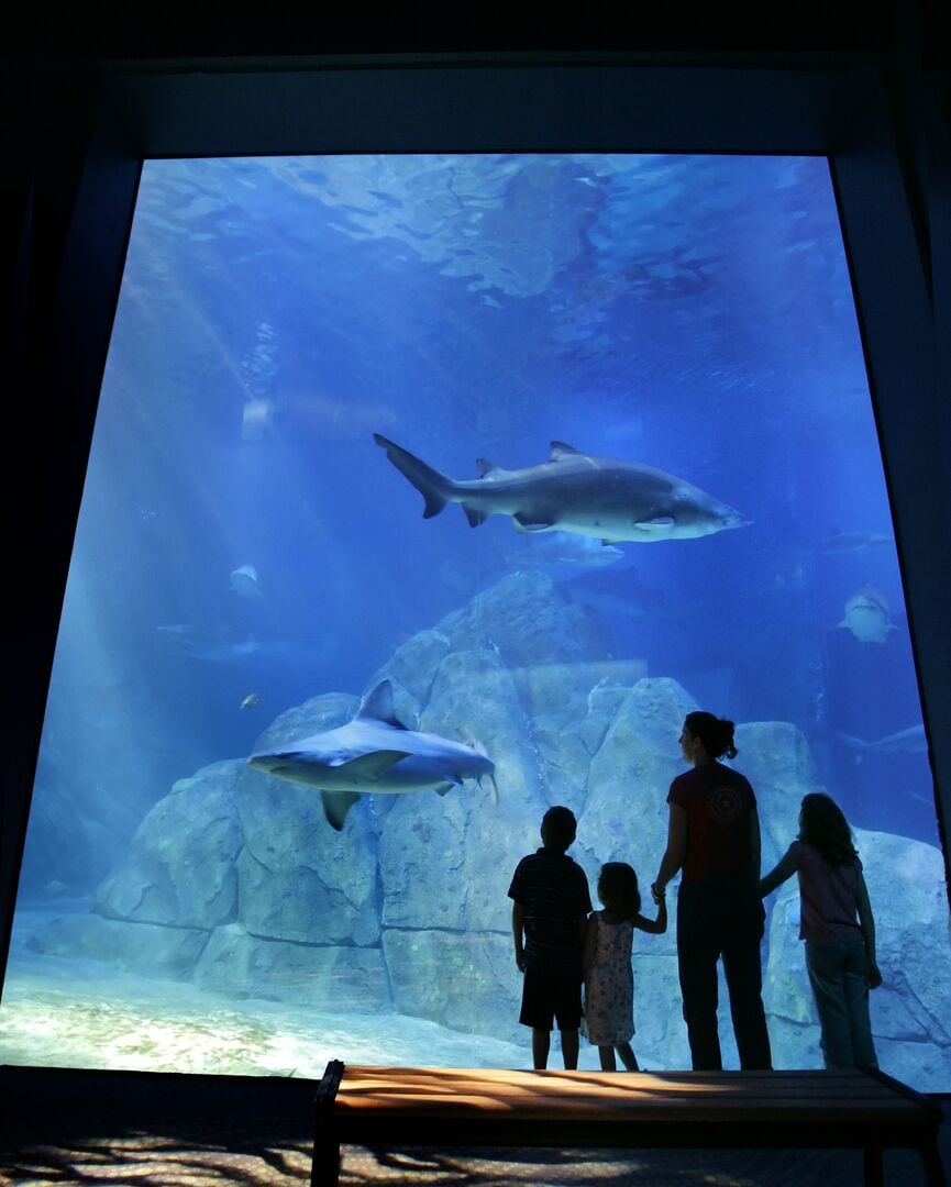 Adventure Aquarium