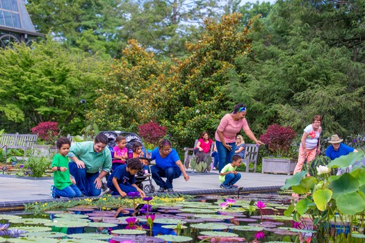 Longwood Gardens