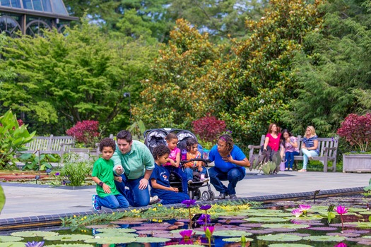 Longwood Gardens