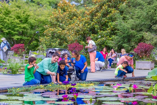 Longwood Gardens