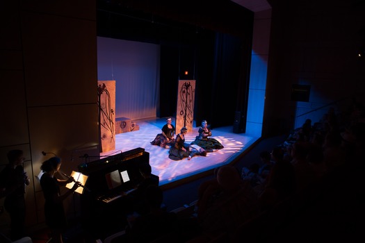 Venice Island Performing Arts & Recreation Center