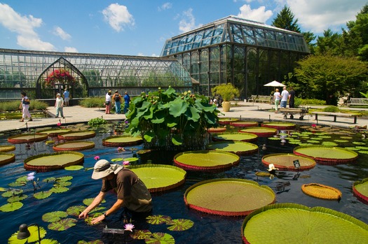 Longwood Gardens