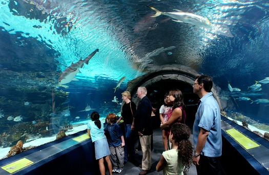 Adventure Aquarium