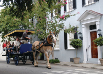 Carriage Tour