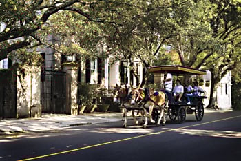 Charleston Carriage Tour