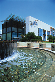 Attractions Aquarium