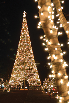 Christmas Marion Square