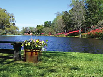 Attractions Middleton Place Lake