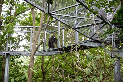 Philadelphia Zoo