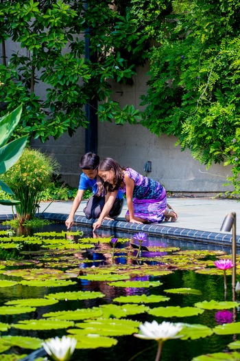 Longwood Gardens