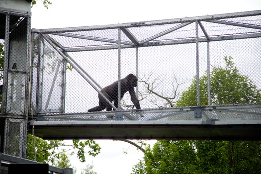 Philadelphia Zoo