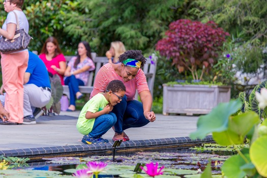 Longwood Gardens