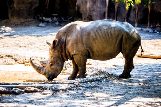 Philadelphia Zoo