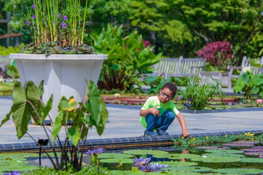 Longwood Gardens