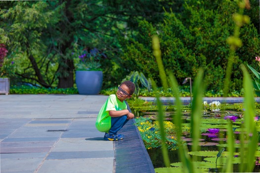 Longwood Gardens