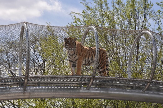 Philadelphia Zoo