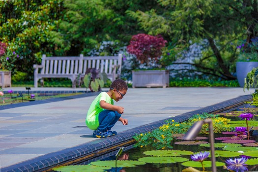 Longwood Gardens
