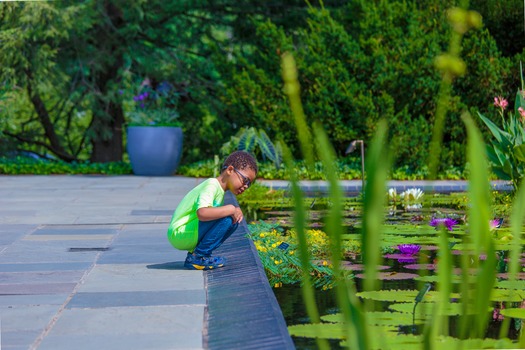 Longwood Gardens