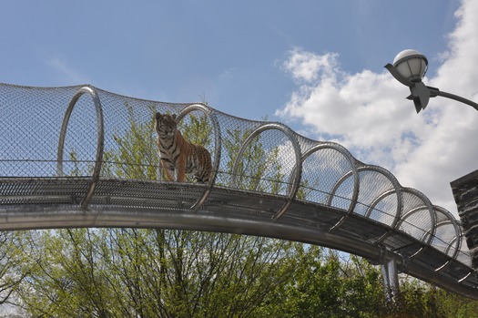 Philadelphia Zoo