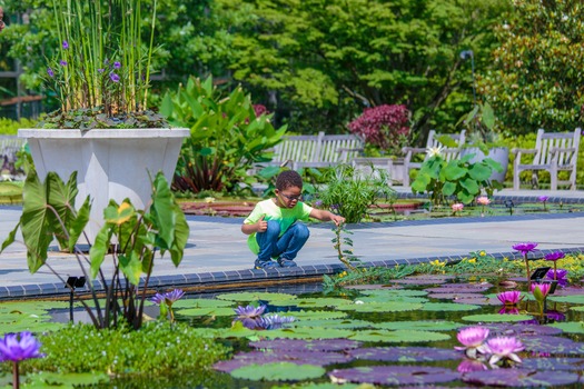 Longwood Gardens