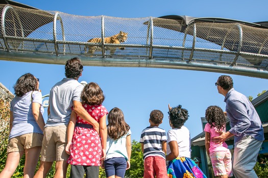 Philadelphia Zoo