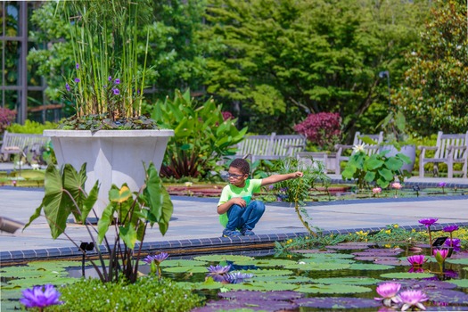 Longwood Gardens