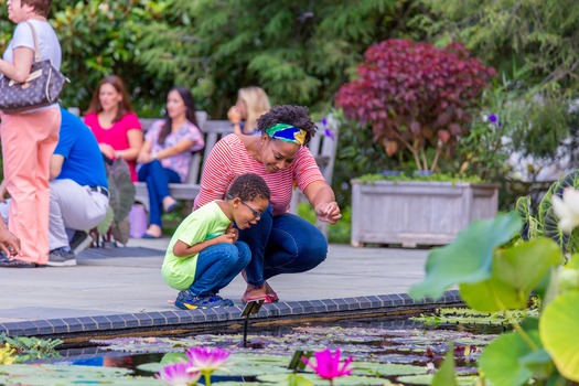 Longwood Gardens