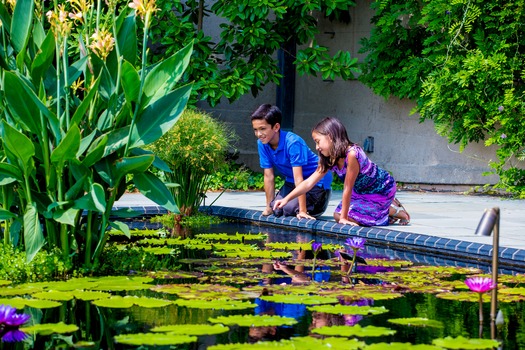 Longwood Gardens