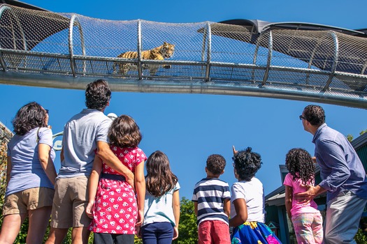 Philadelphia Zoo