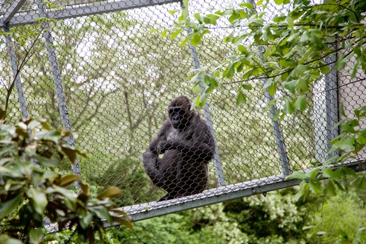 Philadelphia Zoo