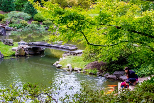 Shofuso Japanese House and Garden