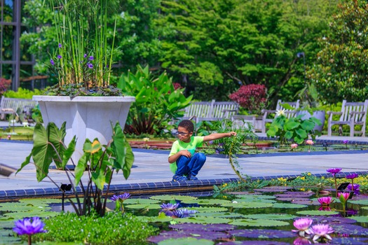 Longwood Gardens