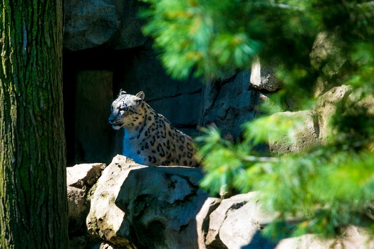 Philadelphia Zoo