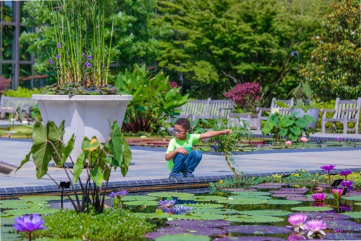 Longwood Gardens